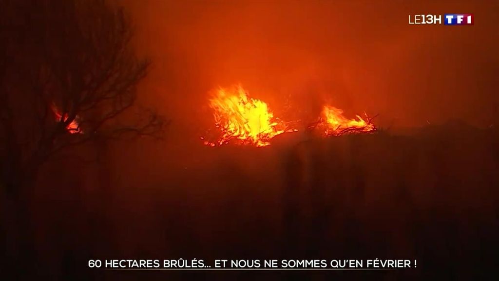 VIDÉO - Incendies : plus de 40 départs de feux en France ce premier week-end de février