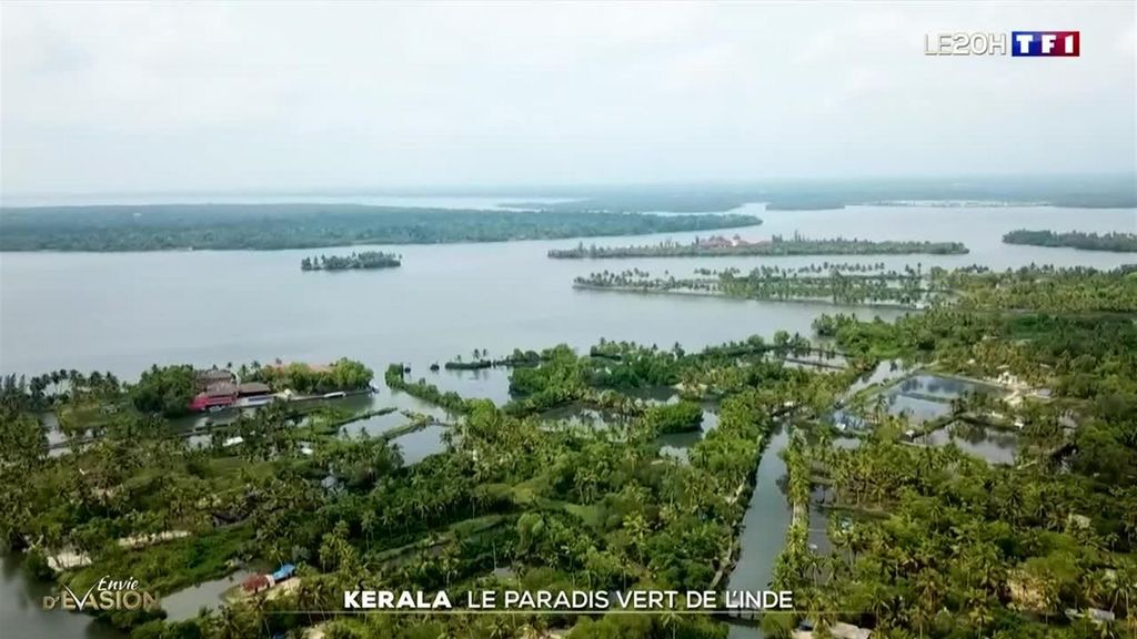 Évasion : à la découverte du paradis vert de l'Inde dans l'État du Kerala
