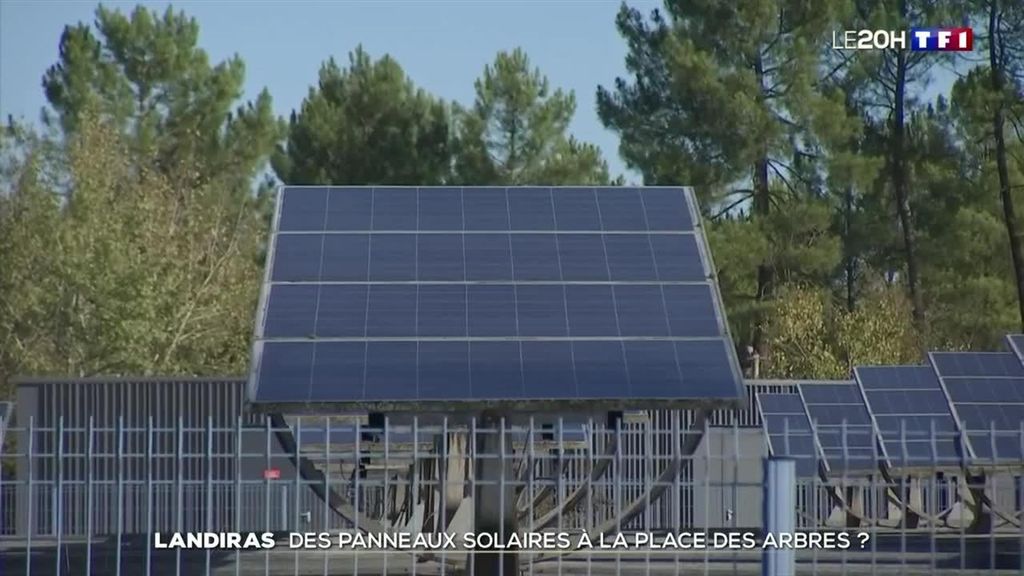 Incendies en Gironde : des panneaux solaires pour remplacer la forêt ?