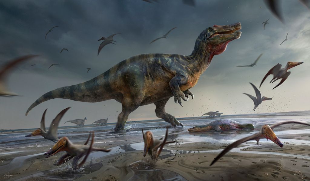 Les restes d'un dinosaure de 25 m de long découverts dans un jardin au Portugal