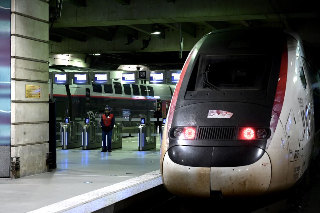 Chat écrasé par un TGV à Montparnasse : la Fondation 30 Millions d'Amis porte plainte contre la SNCF