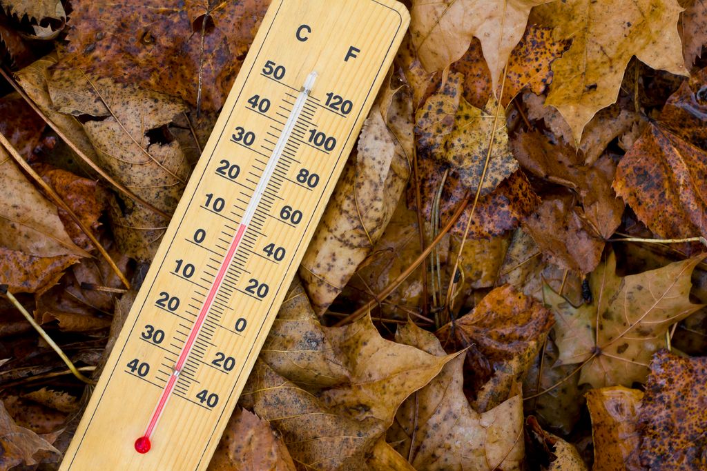 VIDÉO - Jusqu'à 14°C de moins en 24 heures : l'automne est-il (enfin) en train de s'installer ?
