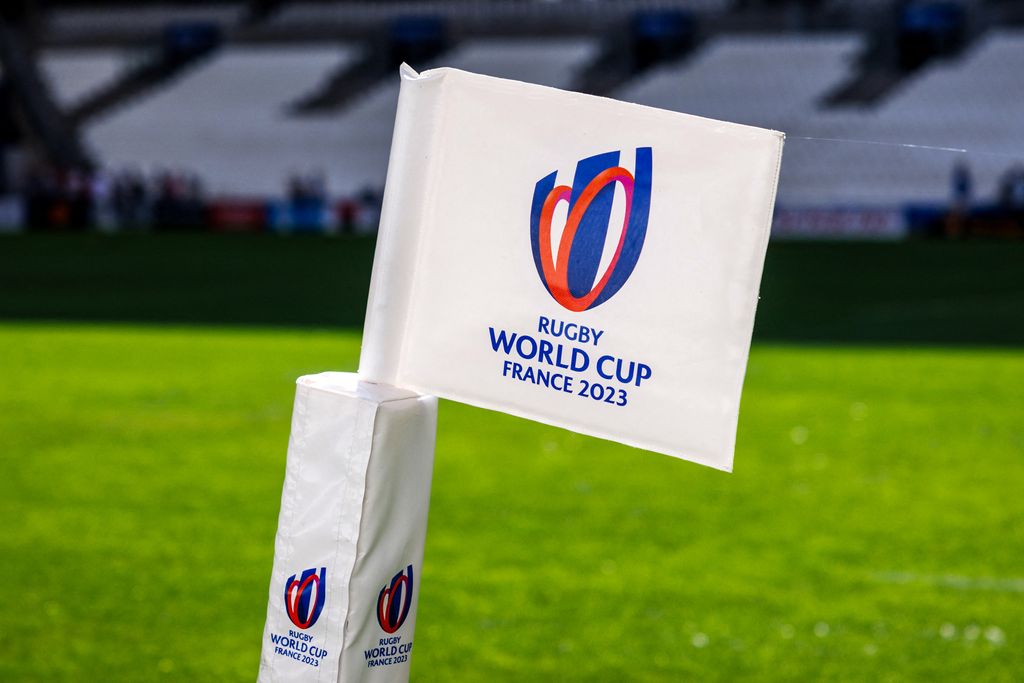 Coupe du monde de rugby : qualifications, éliminations... Poule par poule, le point avant la dernière journée