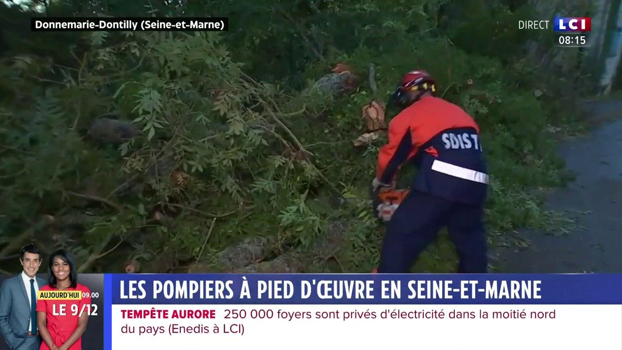 Tempête Aurore : les pompiers à pied d'œuvre en Seine-et-Marne