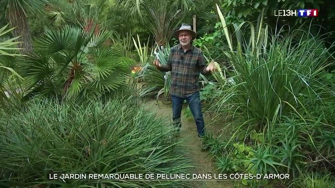 À la découverte du jardin remarquable de Pellinec, dans les Côtes-d'Armor