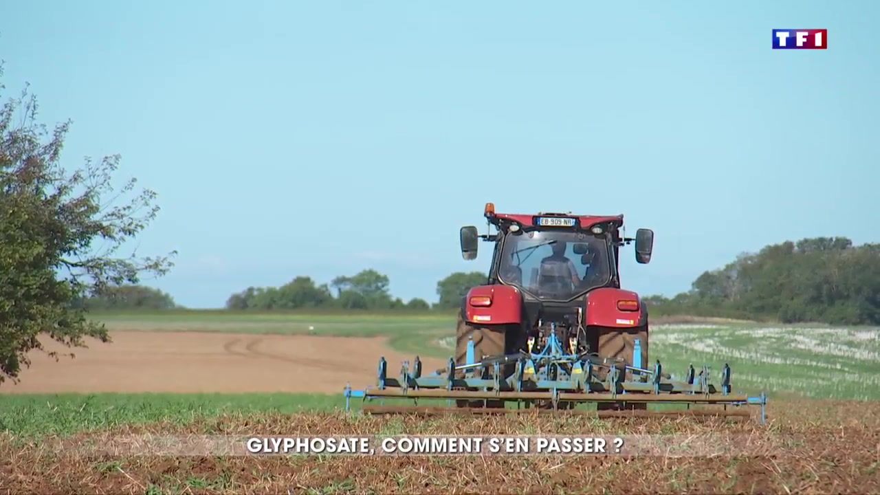 Agriculture : Comment se passer du glyphosate ?