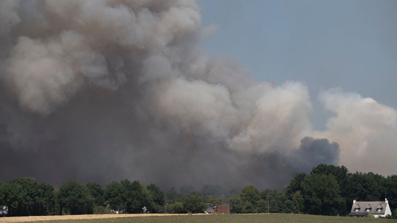 Incendie en Bretagne : la forêt de Brocéliande s’embrase, près de 300 hectares partis en fumée