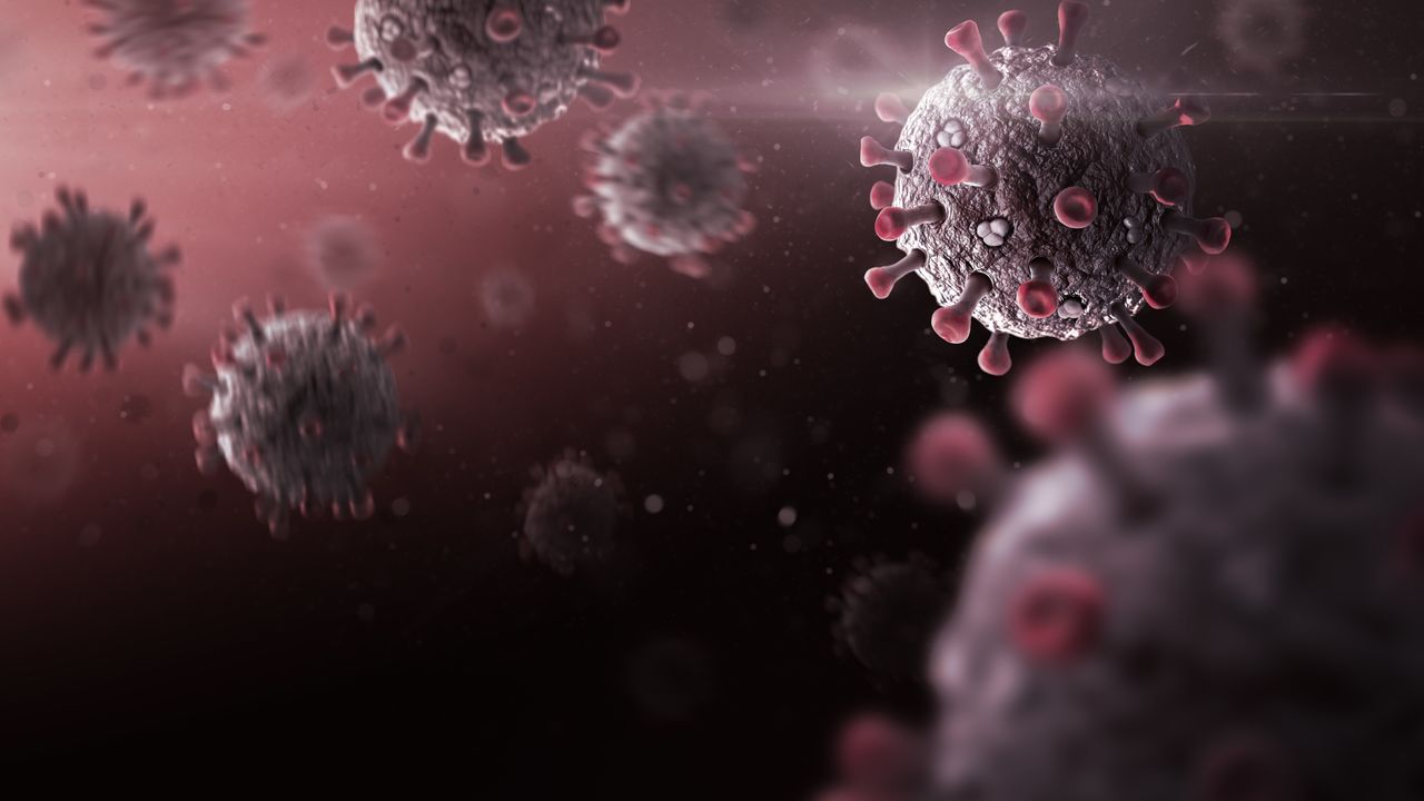 Khosta-2 : un nouveau coronavirus, résistant aux vaccins, découvert chez les chauves-souris