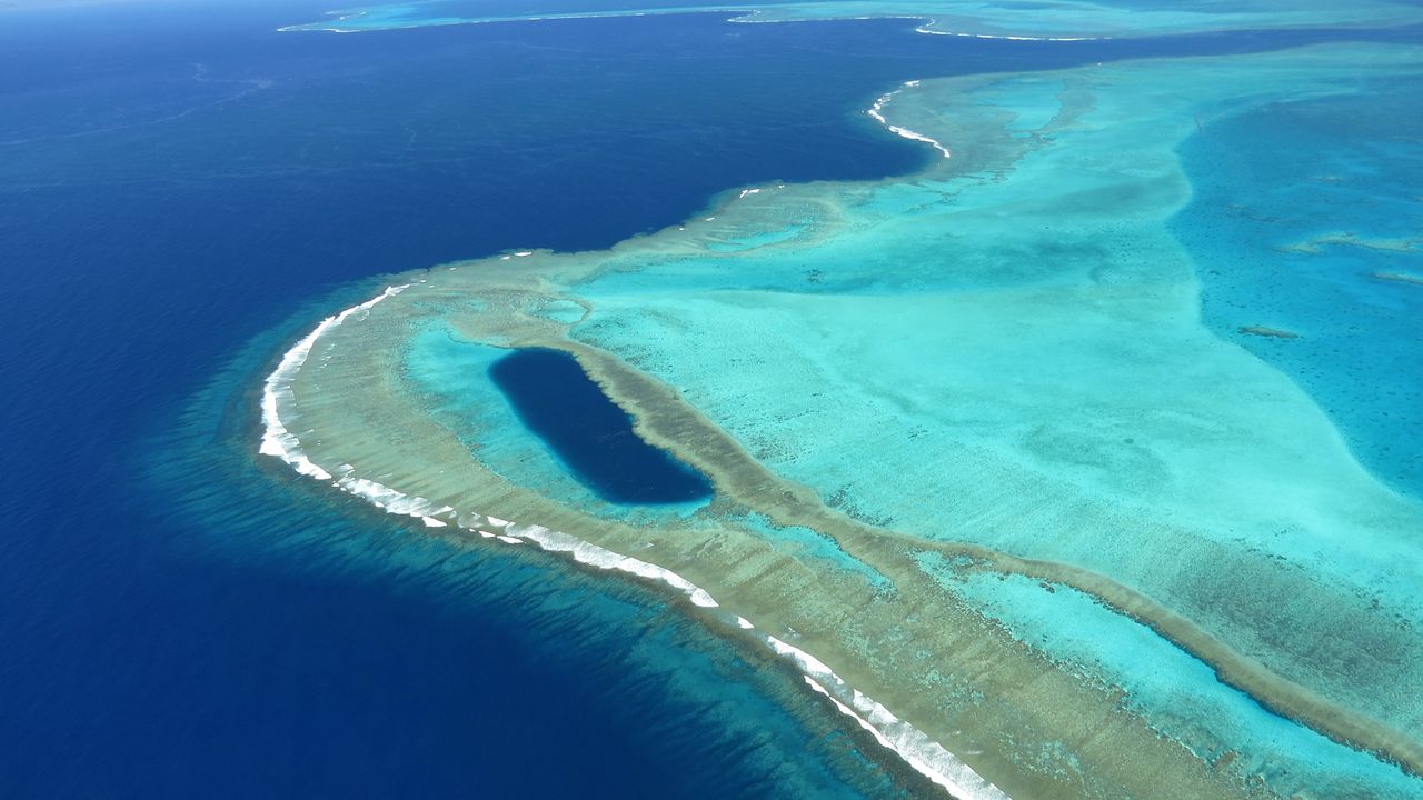 VIDÉO - Les coraux de Nouvelle-Calédonie, un trésor menacé par le dérèglement climatique