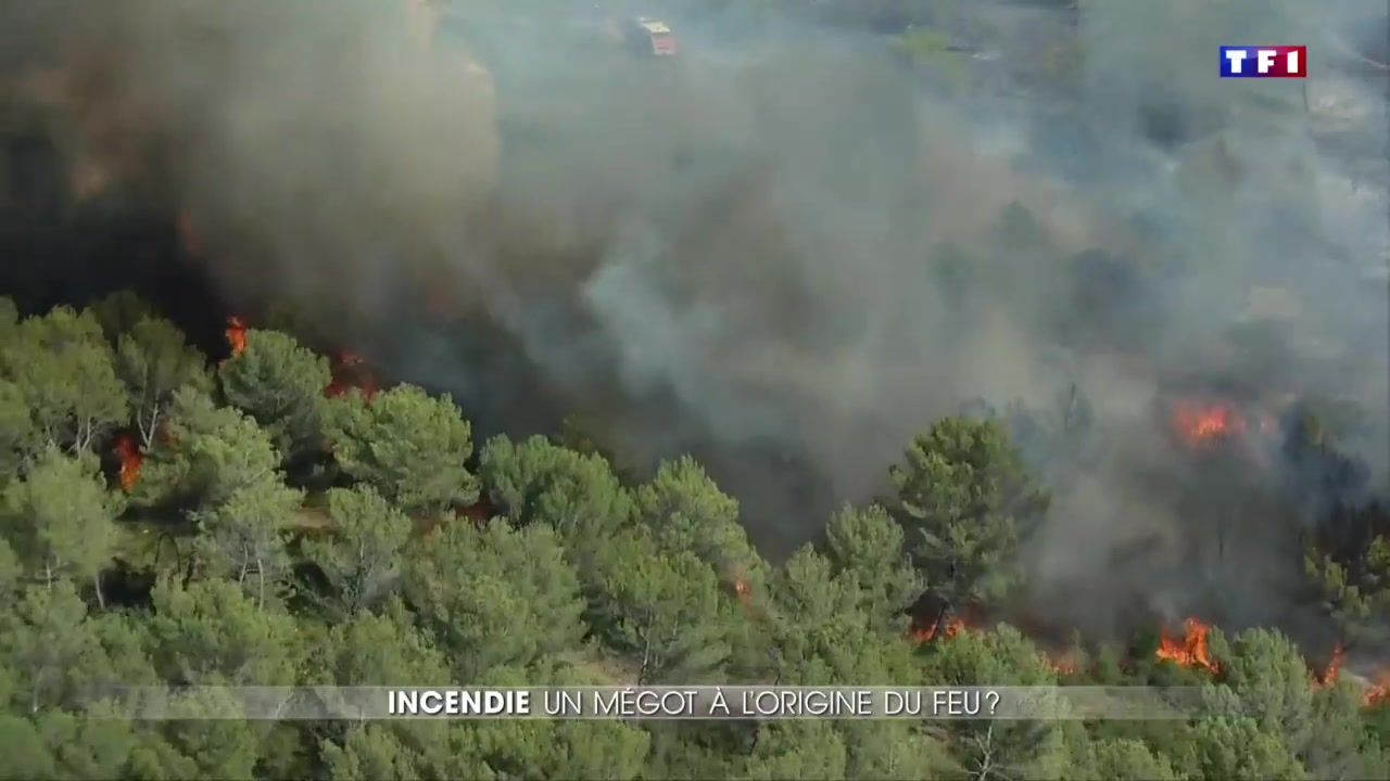 Incendie dans les Bouches-du-Rhône : un mégot à l’origine du feu ?