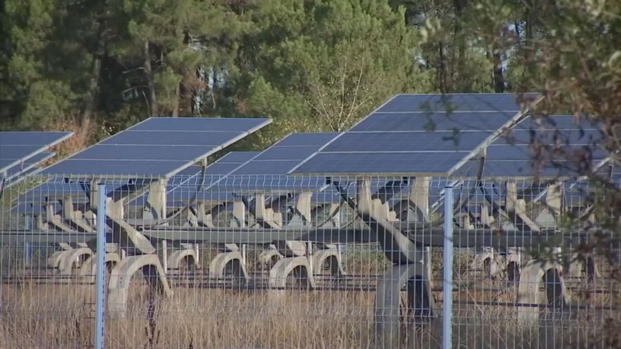 Landiras : les parcelles calcinées dans le viseur de promoteurs de panneaux photovoltaïques