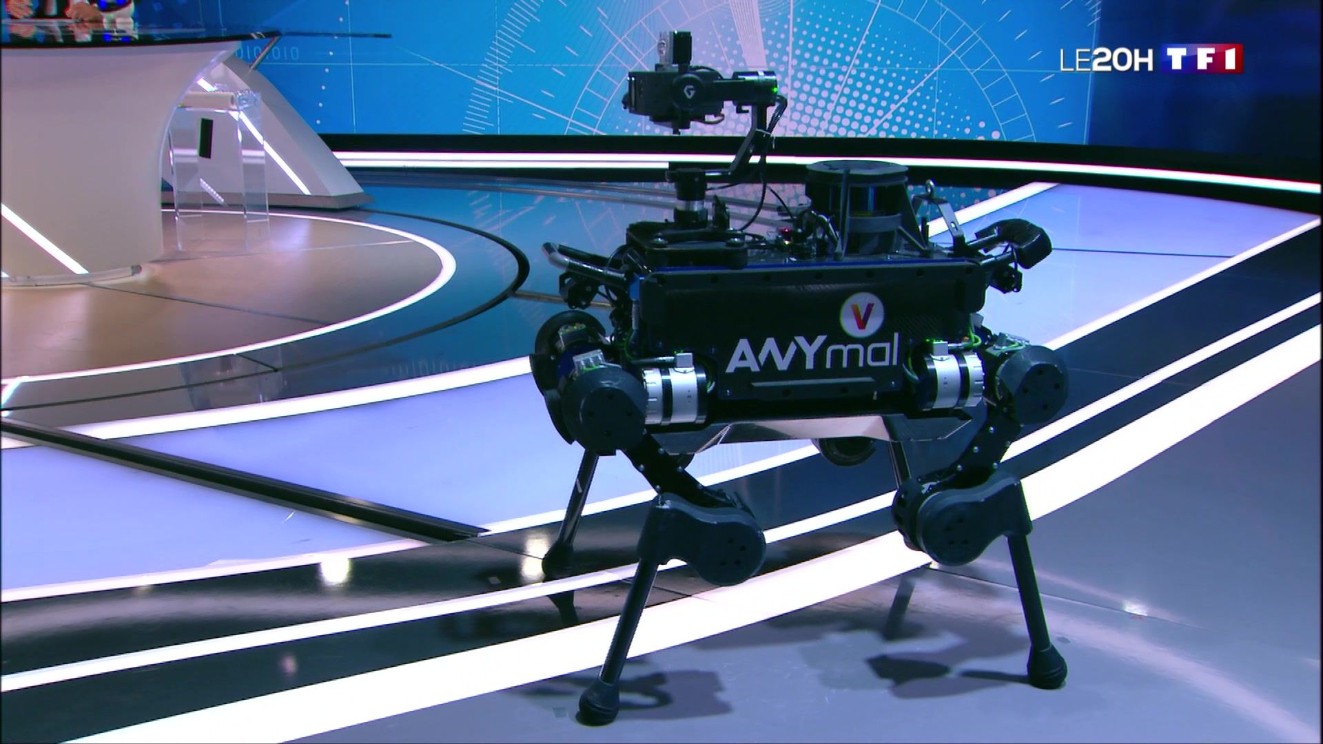 High-tech : ces robots qui simplifieront notre quotidien