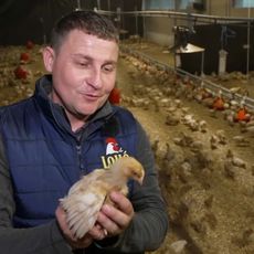 "Ça, c’est vache" : la drôle de pétition des poulets de Loué avant le Salon de l'Agriculture