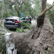 Le 18 août 2022, au camping de Sagone, en Corse, les violents orages  ont fait chuter plusieurs arbres. Une personne est morte. 