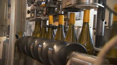 Baisse historique de la production mondiale de vin : une mauvaise nouvelle ?