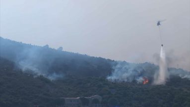 VIDÉO - Incendies en Grèce : à Corfou, des habitants seuls face à l'avancée des flammes
