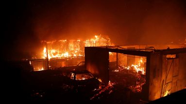 EN IMAGES - D'importants feux de forêt touchent le Chili, l'état d'exception déclenché