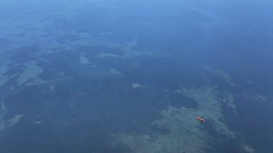 VIDÉO - À la découverte de la vie sauvage des étangs de Méditerranée