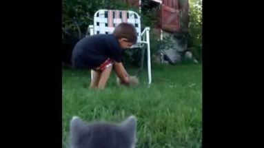 L'instant meugnon – Quatre chatons font tourner un petit garçon en bourrique