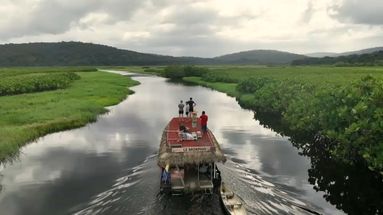VIDÉO - Guyane : safari sur l'Amazone