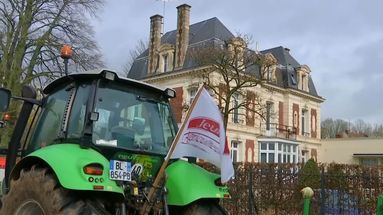 VIDÉO - "Qu'on arrête de travailler à perte !" : les agriculteurs continuent leurs actions coups de poing