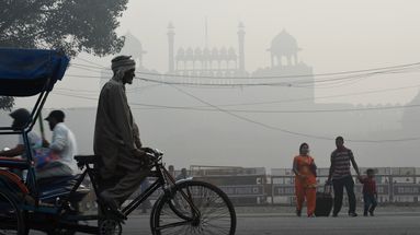 Pollution record à New Delhi : "On vit au jour le jour en contrôlant les taux fréquemment", raconte une Française