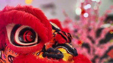 VIDÉO - Nouvel an chinois : à quoi correspond le signe du dragon de bois