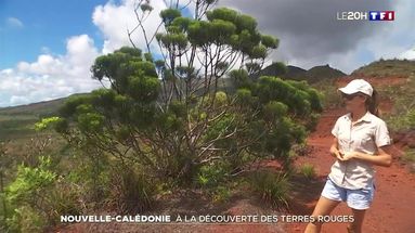 Nouvelle-Calédonie : à la découverte des terres rouges