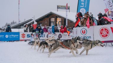 La Grande Odyssée Savoie Mont Blanc : un vétérinaire vit "un rêve d’enfant" en travaillant sur cette course
