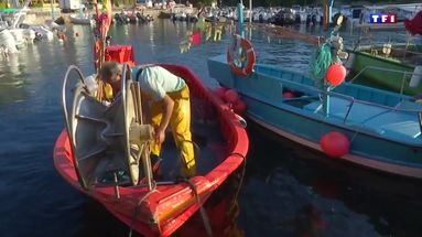 Pour un poisson frais, ces pêcheurs le vendent directement à quai