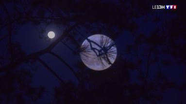 "Super Lune rose" : un phénomène source de légendes
