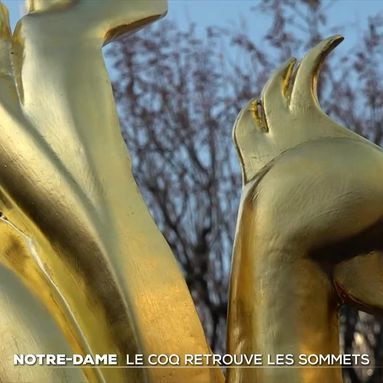 Notre-Dame de Paris : plus de 120.000 signatures pour une pétition qui s'oppose à l'installation de vitraux modernes
