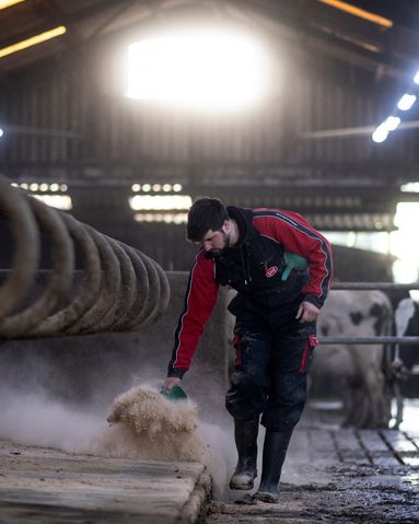 Le Brexit a-t-il "tué" les exportations agricoles britanniques ?
