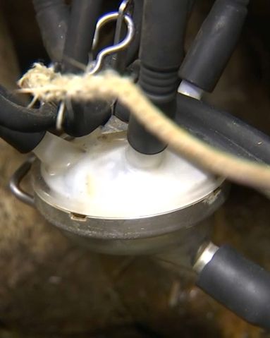 "Ce n'est pas suffisant" : l'accord signé avec Lactalis encore loin du juste prix, selon des producteurs de lait