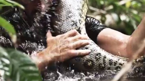 VIDEO – Un homme avalé vivant par un anaconda sur Discovery Channel