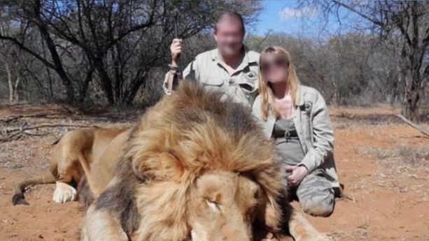 La Fédération nationale des chasseurs porte plainte contre Super U après le départ de deux gérants pour un Safari-chasse