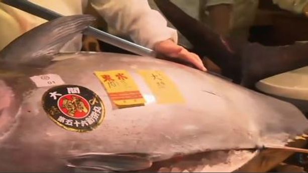 Japon : un énorme thon rouge adjugé à 605.000 euros