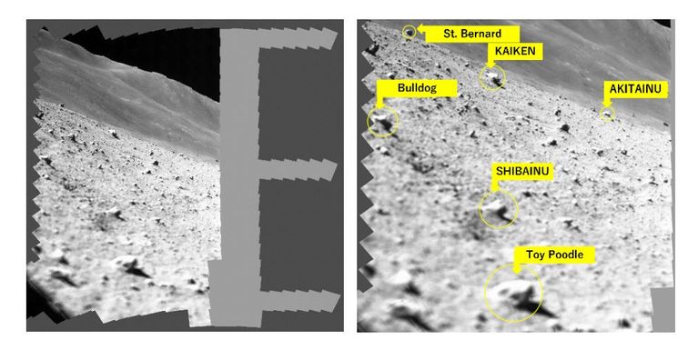 L'agence spatiale nipponne a posté ce lundi une photographie prise par le module montrant le rocher baptisé "Toy Poodle", sur le sol lunaire.