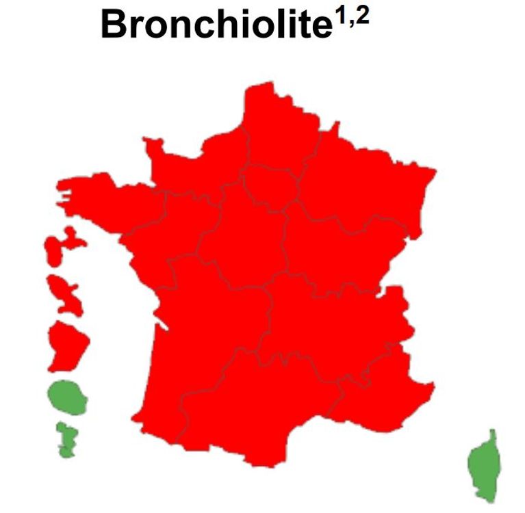 La carte de l'épidémie de bronchiolite de Santé publique France, le 22 novembre 2023. En rouge, les territoires en phase épidémique. En vert, les territoires sans alerte.