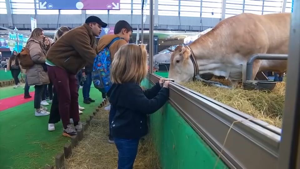 REPORTAGE - Salon de l'Agriculture : quand les enfants découvrent les animaux de la ferme